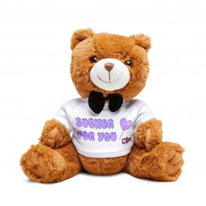 Teddy Bear with T-Shirt